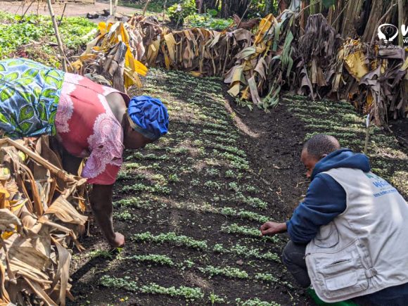 Waza And Act: Suivie & Entretien des Germoirs à BUTUMBA