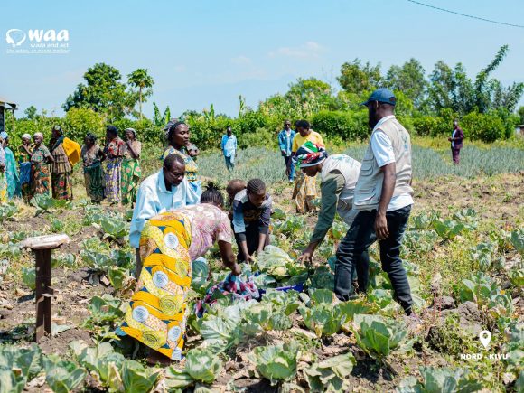SEACL: Des récoltes qui redonnent espoir à Kisigari