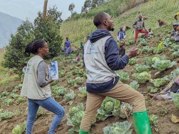Waza And Act: Accompagnement des communautés de Kingi dans le territoire de Masisi dans la SECAL